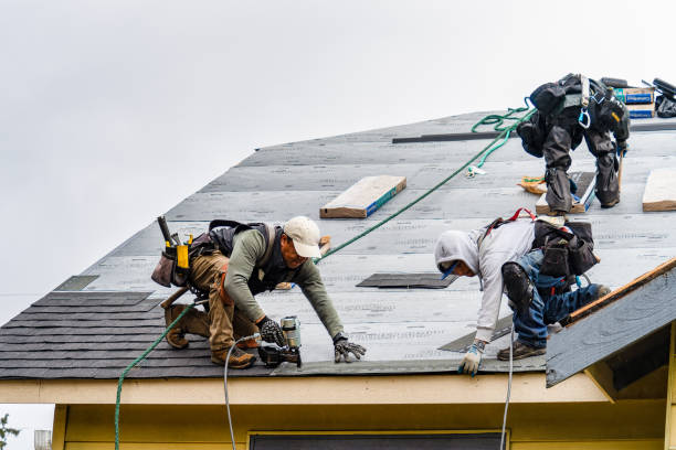 Professional Flat Roof Repair technician working in Reed City, MI